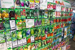 seed